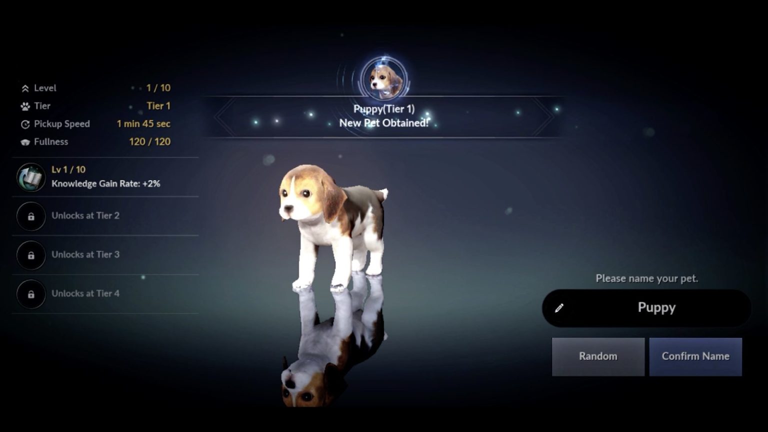 Black Desert Mobile Pets Guide (How to Obtain, Train Skill and Feed
