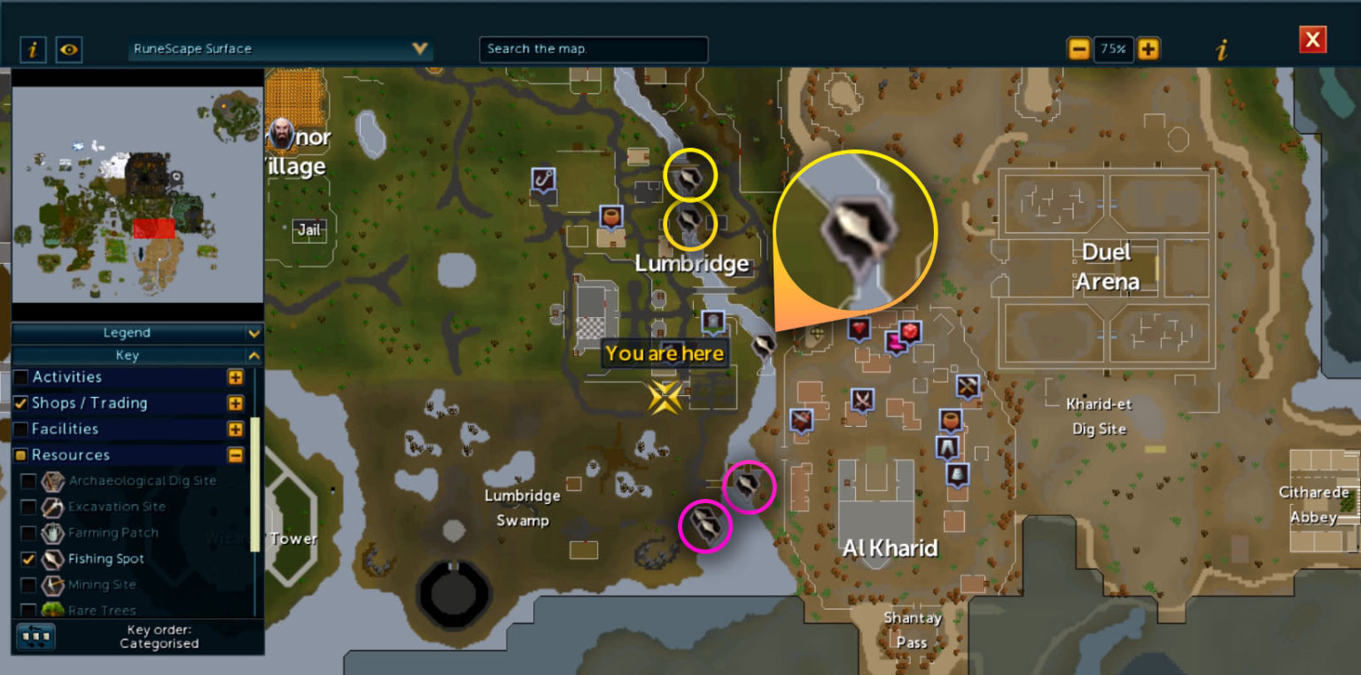 Fishing Guide in RuneScape Mobile, How to Catch Fish